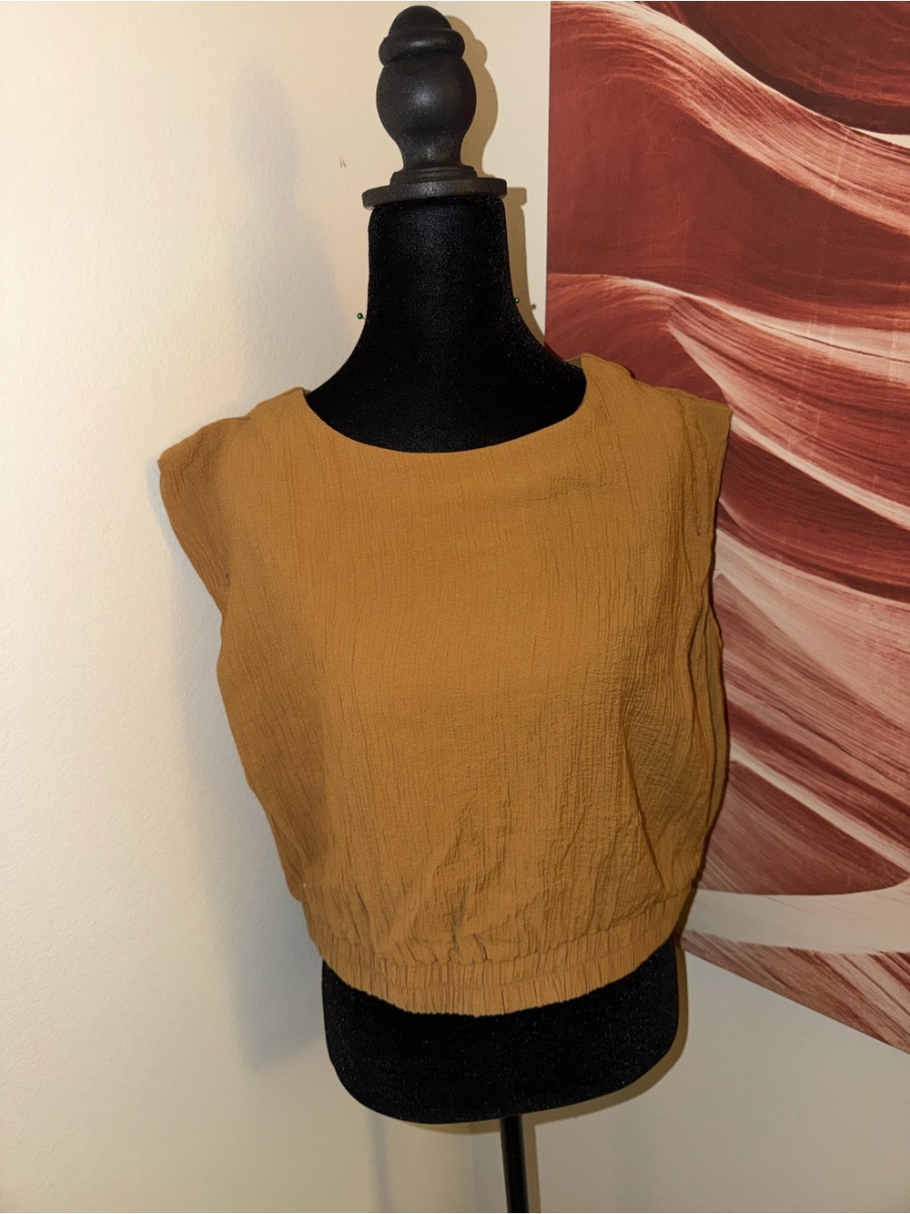 Source Unknown Mustard Cropped Cap-Sleeve Top